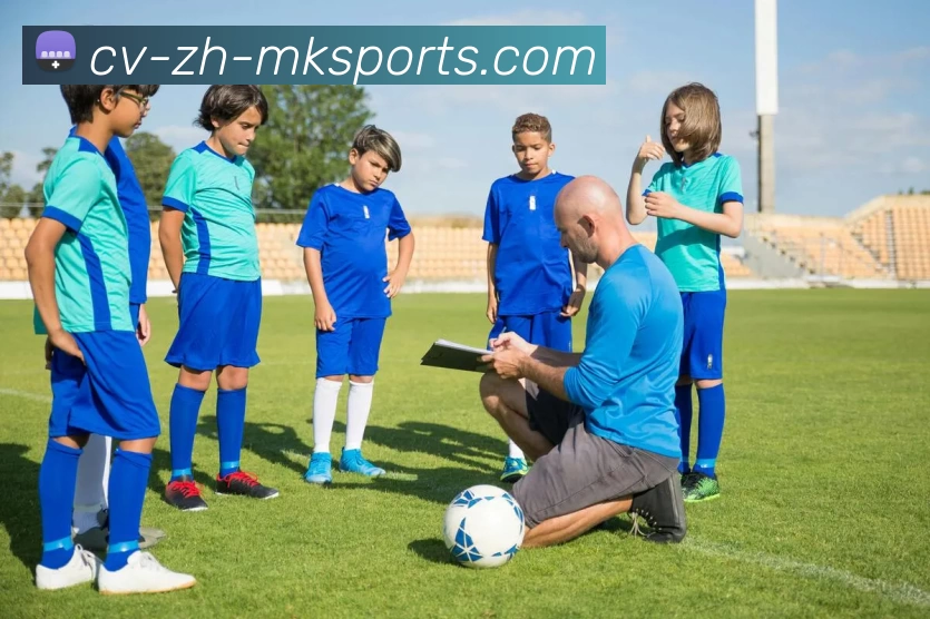 MK体育发展历程