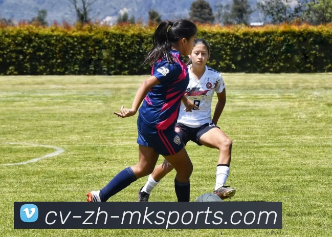 最新足球个人能力排行榜揭晓北京足球队球员表现突出位居前列